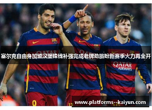 塞尔克自由身加盟汉堡锋线补强完成老牌劲旅盼新赛季火力再全开